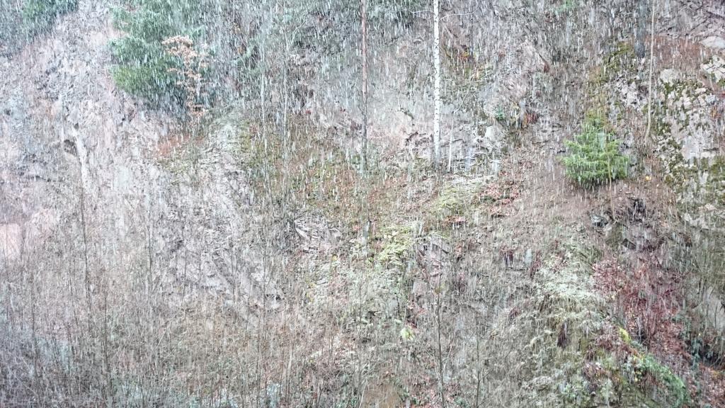 Waldblick Tonbach Apartment Baiersbronn Room photo