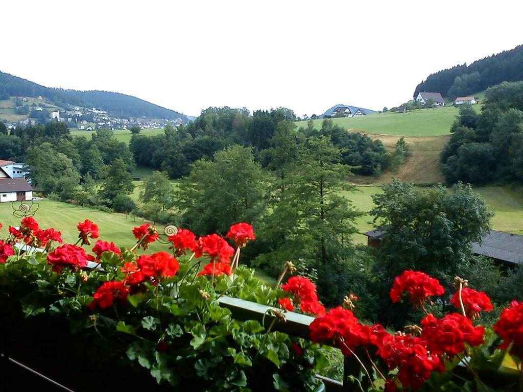 Waldblick Tonbach Apartment Baiersbronn Room photo
